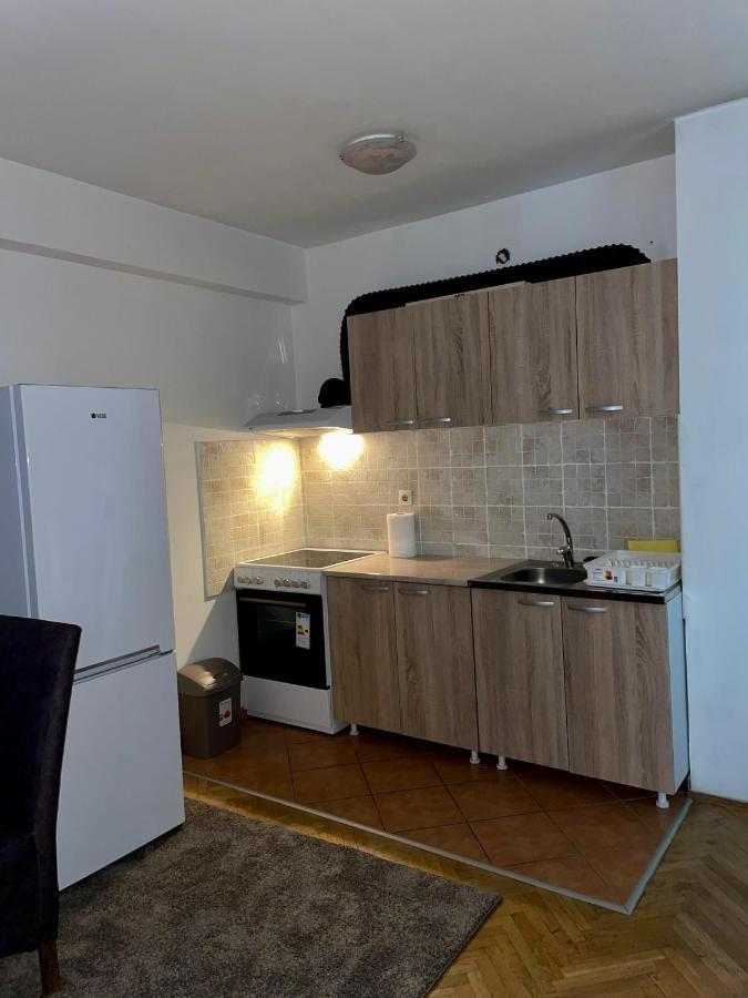 נובי סאד Apartment Dostojevski מראה חיצוני תמונה
